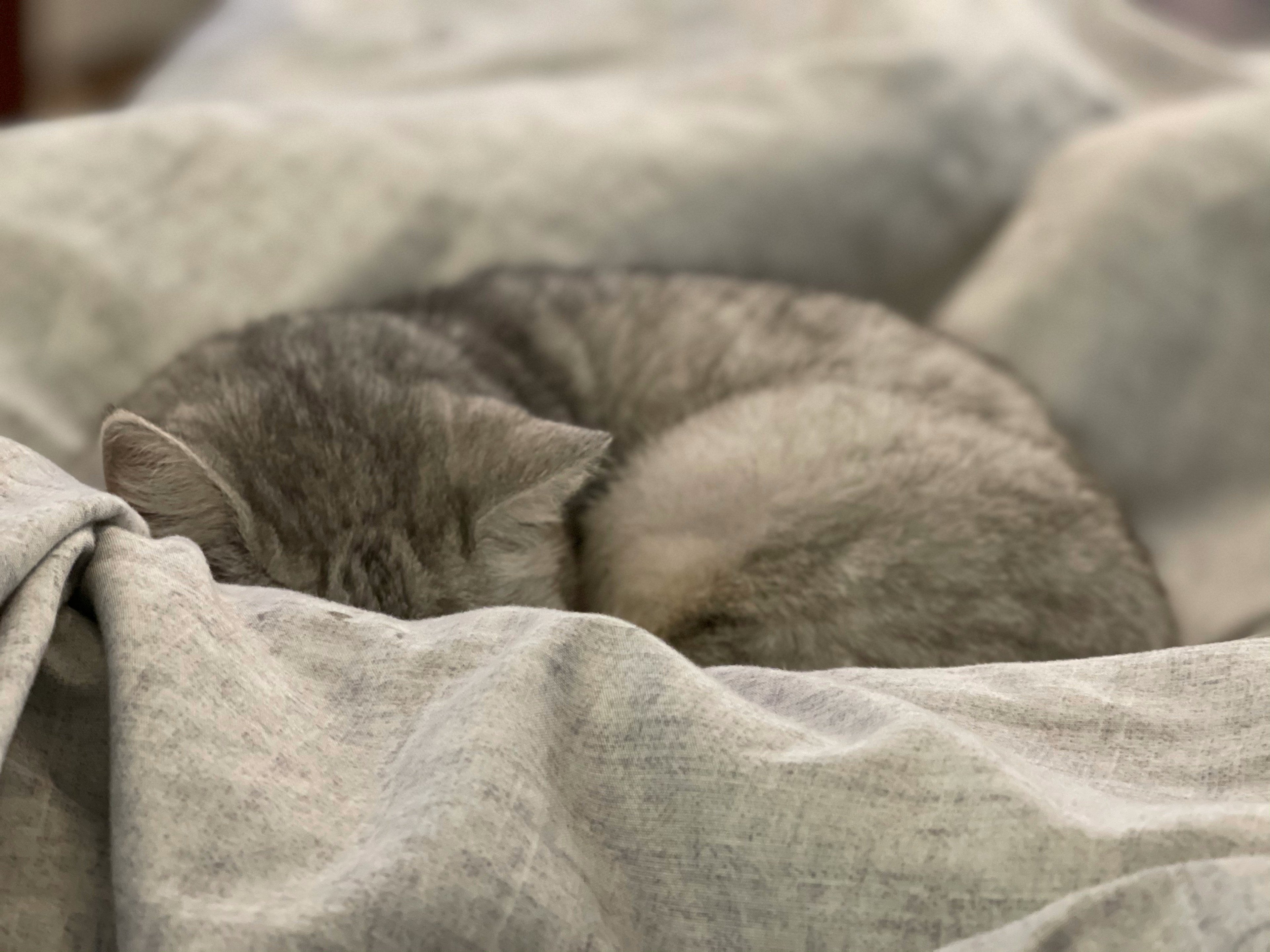 How To Improve Sleep Quality Naturally